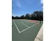 Well-maintained basketball court with vibrant green and red surfaces, ready for a game at 11863 Delfina Ln, Orlando, FL 32827