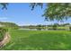 Lush green backyard with a tranquil lake, providing a serene and picturesque setting at 13480 Applerose Ln # 19, Orlando, FL 32824