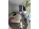 Spacious bedroom view, highlighting natural light and layout at 1620 Grand St, Orlando, FL 32805