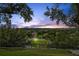 Scenic view of a lush neighborhood with a home featuring a well-manicured lawn and mature trees against a twilight sky at 2950 Inca Ave, Clermont, FL 34715