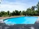 Inviting in-ground pool surrounded by lush landscaping, perfect for relaxing and entertaining at 601 Blackstone Ave, Deltona, FL 32725