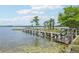 Charming dock with stairs leading to the lake, enveloped by lush greenery and mature trees along the shoreline at 9843 Nokay Dr, Orlando, FL 32836
