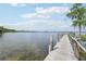 Private dock providing direct access to the serene lake, perfect for fishing, boating, and enjoying lakeside living at 9843 Nokay Dr, Orlando, FL 32836