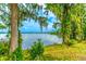 Picturesque lake view framed by lush greenery, creating a serene and inviting ambiance at 1177 Paseo Del Mar # D, Casselberry, FL 32707
