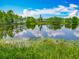 Picturesque view of a calm lake reflecting the clear blue sky, surrounded by lush greenery and homes at 1846 Branchwater Trl, Orlando, FL 32825
