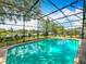 Sparkling swimming pool with screened enclosure offers a serene view of the lake at 1846 Branchwater Trl, Orlando, FL 32825