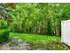 A green backyard with green tall trees at 2157 Cypress Villas Dr, Orlando, FL 32825