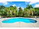 Relaxing community pool area with palm trees, lounge chairs, and clear blue water at 2157 Cypress Villas Dr, Orlando, FL 32825