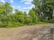 Lush backyard featuring mature trees and landscaping, providing privacy at 274 W 20Th St, Apopka, FL 32703