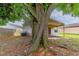 Spacious backyard with mature trees shading the yard and covered patio at 5423 Blueberry Dr, Orlando, FL 32811