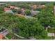 Overhead shot showing a neighborhood with lush greenery surrounding the homes at 7698 Mount Carmel Dr, Orlando, FL 32835
