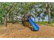 Playground featuring a blue slide and swings, set on a soft mulch ground, surrounded by trees at 10249 Spring Lake Dr, Clermont, FL 34711