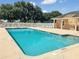 A large community pool with plenty of lounge chairs for relaxation and recreation at 10249 Spring Lake Dr, Clermont, FL 34711
