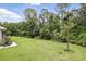 Lush backyard featuring green grass and mature trees, creating a serene outdoor space at 10664 Spring Buck Trl, Orlando, FL 32825