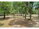 Expansive backyard featuring mature trees and lush greenery, offering privacy and natural beauty at 1090 Braddock Rd, Deltona, FL 32725