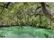 Tranquil water feature surrounded by lush, tropical vegetation and mature trees at 1090 Braddock Rd, Deltona, FL 32725