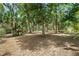 Beautiful property featuring a spacious yard adorned with mature trees and lush greenery at 1090 Braddock Rd, Deltona, FL 32725