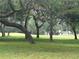 Scenic view of the backyard with mature trees and lush green lawn at 1333 Killbricken Cir, Ormond Beach, FL 32174
