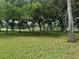 Expansive green lawn dotted with mature trees provides a peaceful and inviting atmosphere at 1333 Killbricken Cir, Ormond Beach, FL 32174
