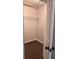 Walk-in closet with carpet flooring and a shelf at 1603 Emily Ct, Kissimmee, FL 34744