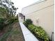 View of the side yard featuring a walkway, lush landscaping, and the exterior of the home at 2299 Hawks Cove Cir, New Smyrna Beach, FL 32168