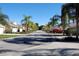 Charming street view of homes with lush green lawns and majestic palm trees lining the road at 2299 Hawks Cove Cir, New Smyrna Beach, FL 32168