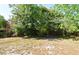 Spacious backyard with mature trees and foliage surrounding the fence line at 984 Dinero Dr, Winter Springs, FL 32708