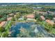 Aerial view of a community lake, surrounded by lush green foliage, that features a charming fountain centerpiece at 3001 Red Ginger Rd, Kissimmee, FL 34747