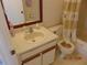 Bathroom featuring a vanity with a clean white sink and a matching toilet at 3166 S Semoran Blvd # 1007, Orlando, FL 32822