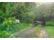 Charming driveway surrounded by lush greenery and a unique mailbox adds curb appeal at 4107 Gabriella Ln, Winter Park, FL 32792