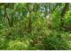 Lush foliage throughout the property at 4107 Gabriella Ln, Winter Park, FL 32792