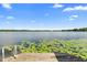 Scenic lake view with lily pads and clear blue sky from dock at 4107 Gabriella Ln, Winter Park, FL 32792