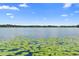 Scenic lake view with lily pads and clear blue sky at 4107 Gabriella Ln, Winter Park, FL 32792