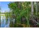 Lake with aquatic grasses and foliage at 4107 Gabriella Ln, Winter Park, FL 32792