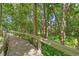 Scenic wooded path with lush greenery and a wooden walkway creates a tranquil atmosphere at 4107 Gabriella Ln, Winter Park, FL 32792