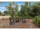 Backyard fire pit area surrounded by seating, creating an inviting outdoor gathering space at 441 Hightower Dr, Debary, FL 32713