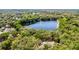 Stunning aerial view of the lake and surrounding trees at 5655 Oak Hollow Ln, Oviedo, FL 32765