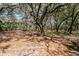 Spacious backyard with mature trees and natural foliage at 5655 Oak Hollow Ln, Oviedo, FL 32765
