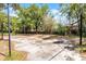 Wide view of the backyard basketball court surrounded by nature at 5655 Oak Hollow Ln, Oviedo, FL 32765