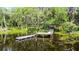 Beautiful dock with views of the lake and lush foliage at 5655 Oak Hollow Ln, Oviedo, FL 32765