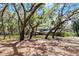 Exterior of a home surrounded by mature trees on a sunny day at 5655 Oak Hollow Ln, Oviedo, FL 32765