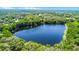 Beautiful aerial view of a serene lake surrounded by lush greenery and mature trees at 5655 Oak Hollow Ln, Oviedo, FL 32765