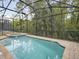 Private screened-in pool area with spa offering a relaxing backyard retreat at 8943 Coconut Breeze Dr, Kissimmee, FL 34747