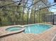Inviting screened-in pool and spa area, perfect for relaxation and entertaining, surrounded by lush greenery at 8943 Coconut Breeze Dr, Kissimmee, FL 34747