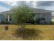Backyard featuring a young tree in the middle of the yard and garden beds against the house at 1185 Sabine Ln, Kissimmee, FL 34759