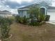 A view of a well-landscaped front yard featuring mature shrubbery at 1185 Sabine Ln, Kissimmee, FL 34759