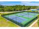 Community tennis courts with lighting for night games at 10160 Mallard Landings Way, Orlando, FL 32832