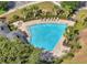 Aerial view of a community pool with lounge chairs, palm trees, and a black metal fence at 17333 Hickory Wind Dr, Clermont, FL 34711
