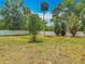 Wide, fenced backyard with trees providing ample privacy and shade at 181 Ada Ave, Orange City, FL 32763