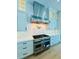 Modern kitchen features professional-grade stainless steel range and custom cabinetry at 182 N Phelps Ave, Winter Park, FL 32789